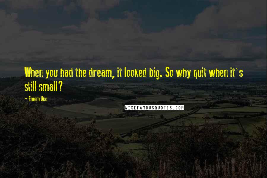 Emem Uko Quotes: When you had the dream, it looked big. So why quit when it's still small?