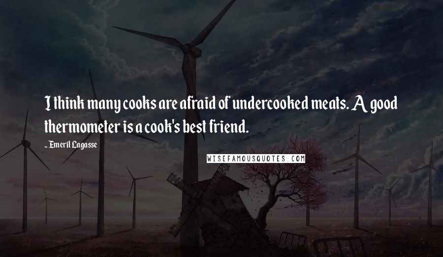 Emeril Lagasse Quotes: I think many cooks are afraid of undercooked meats. A good thermometer is a cook's best friend.