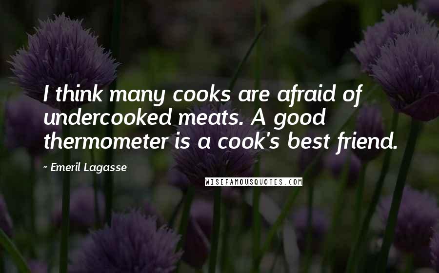 Emeril Lagasse Quotes: I think many cooks are afraid of undercooked meats. A good thermometer is a cook's best friend.