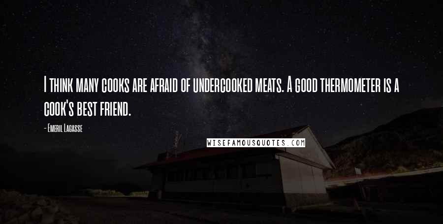 Emeril Lagasse Quotes: I think many cooks are afraid of undercooked meats. A good thermometer is a cook's best friend.