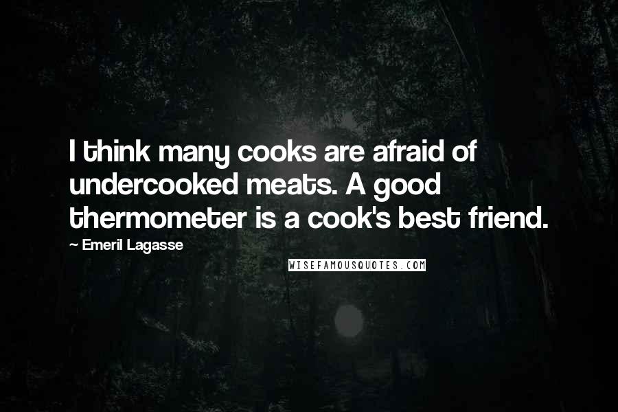 Emeril Lagasse Quotes: I think many cooks are afraid of undercooked meats. A good thermometer is a cook's best friend.