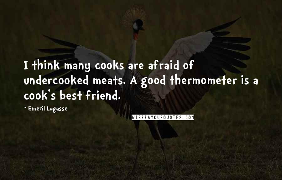 Emeril Lagasse Quotes: I think many cooks are afraid of undercooked meats. A good thermometer is a cook's best friend.