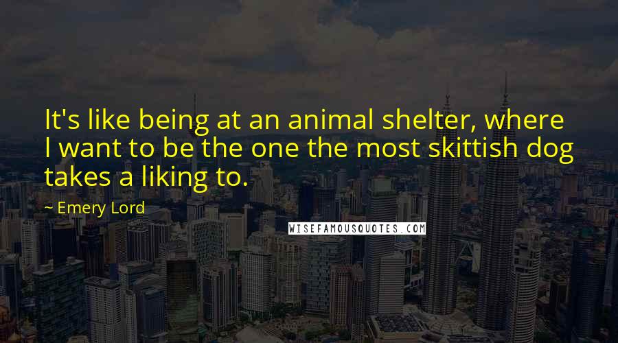 Emery Lord Quotes: It's like being at an animal shelter, where I want to be the one the most skittish dog takes a liking to.