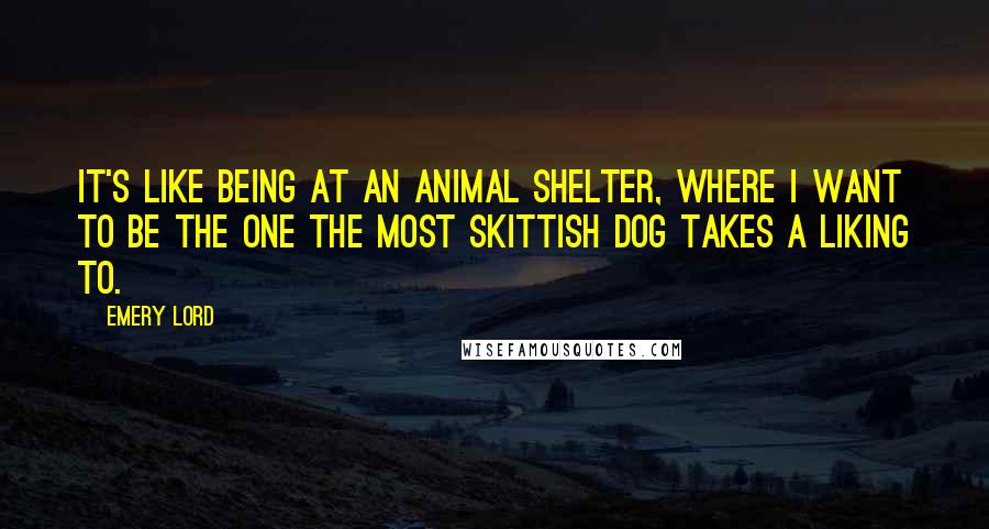 Emery Lord Quotes: It's like being at an animal shelter, where I want to be the one the most skittish dog takes a liking to.