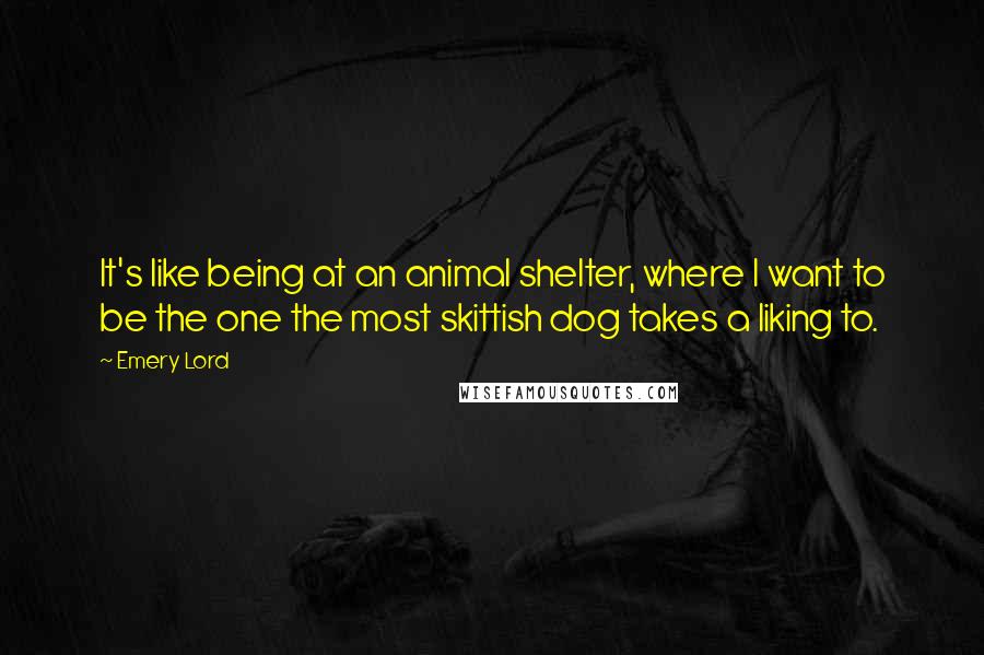 Emery Lord Quotes: It's like being at an animal shelter, where I want to be the one the most skittish dog takes a liking to.