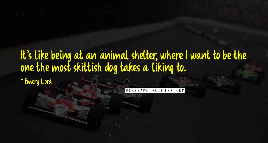 Emery Lord Quotes: It's like being at an animal shelter, where I want to be the one the most skittish dog takes a liking to.