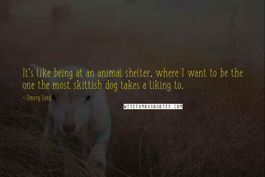 Emery Lord Quotes: It's like being at an animal shelter, where I want to be the one the most skittish dog takes a liking to.