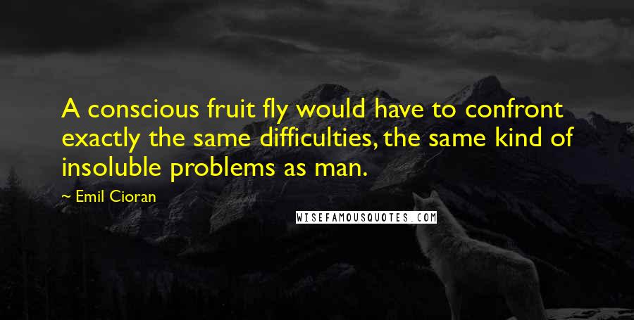 Emil Cioran Quotes: A conscious fruit fly would have to confront exactly the same difficulties, the same kind of insoluble problems as man.