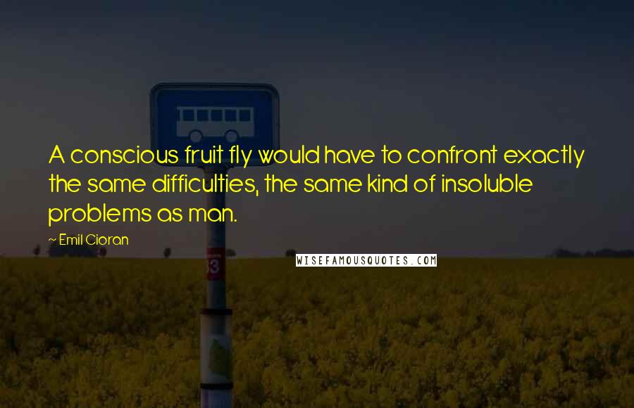 Emil Cioran Quotes: A conscious fruit fly would have to confront exactly the same difficulties, the same kind of insoluble problems as man.