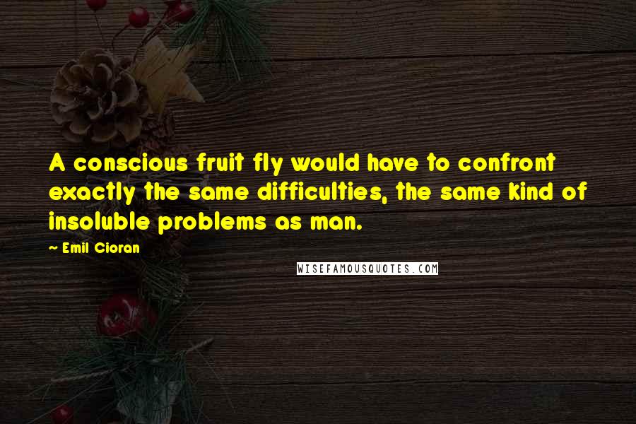 Emil Cioran Quotes: A conscious fruit fly would have to confront exactly the same difficulties, the same kind of insoluble problems as man.