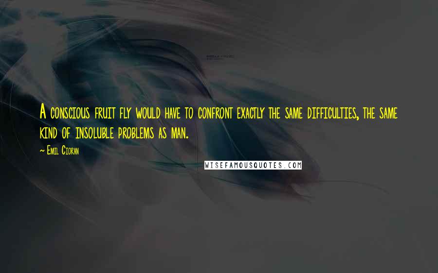 Emil Cioran Quotes: A conscious fruit fly would have to confront exactly the same difficulties, the same kind of insoluble problems as man.