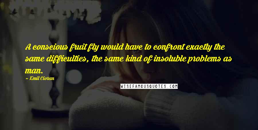Emil Cioran Quotes: A conscious fruit fly would have to confront exactly the same difficulties, the same kind of insoluble problems as man.
