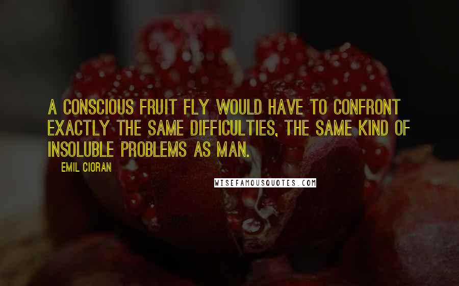 Emil Cioran Quotes: A conscious fruit fly would have to confront exactly the same difficulties, the same kind of insoluble problems as man.