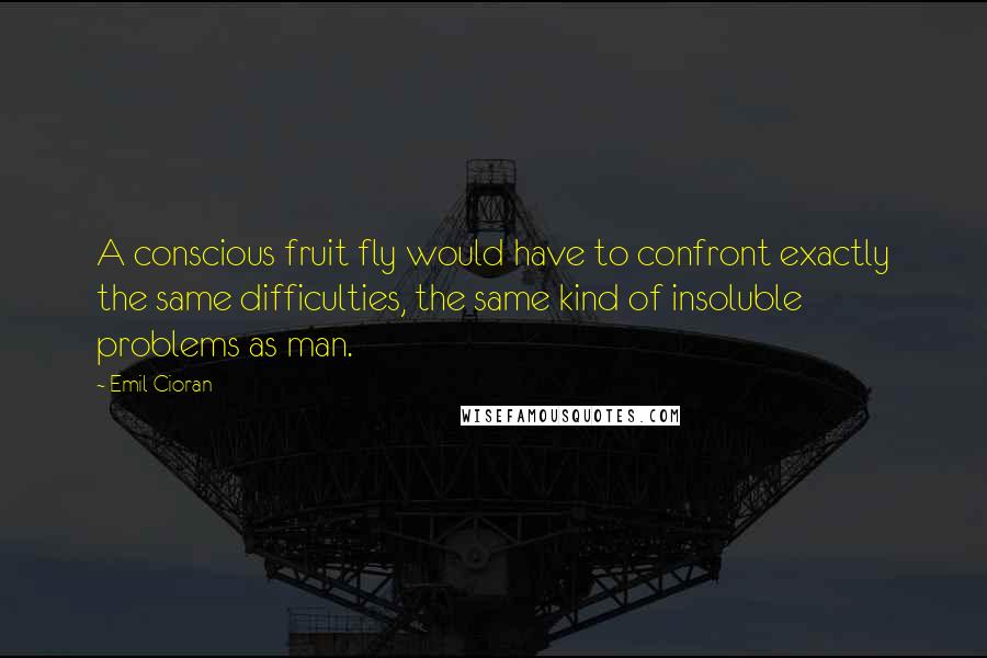Emil Cioran Quotes: A conscious fruit fly would have to confront exactly the same difficulties, the same kind of insoluble problems as man.