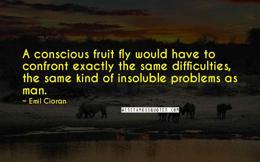 Emil Cioran Quotes: A conscious fruit fly would have to confront exactly the same difficulties, the same kind of insoluble problems as man.