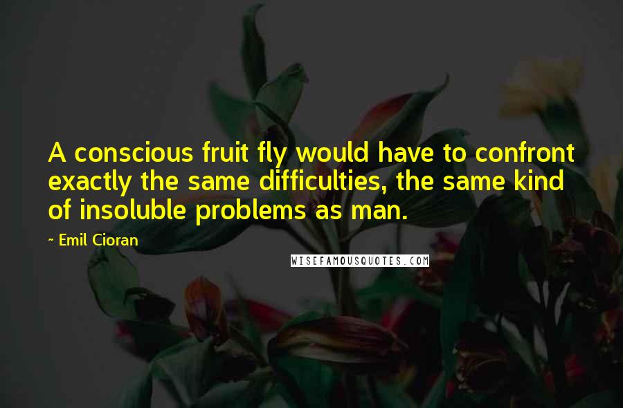 Emil Cioran Quotes: A conscious fruit fly would have to confront exactly the same difficulties, the same kind of insoluble problems as man.