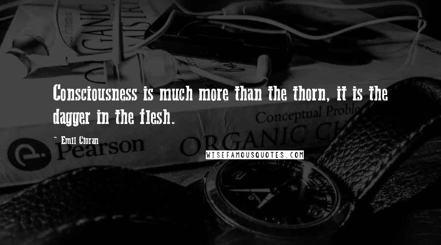 Emil Cioran Quotes: Consciousness is much more than the thorn, it is the dagger in the flesh.