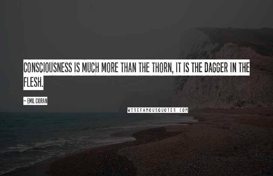 Emil Cioran Quotes: Consciousness is much more than the thorn, it is the dagger in the flesh.