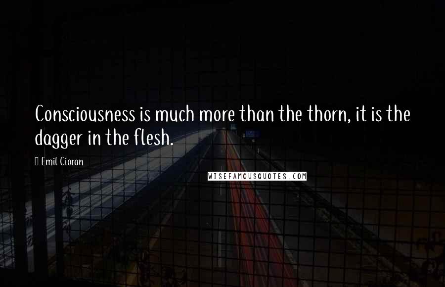 Emil Cioran Quotes: Consciousness is much more than the thorn, it is the dagger in the flesh.