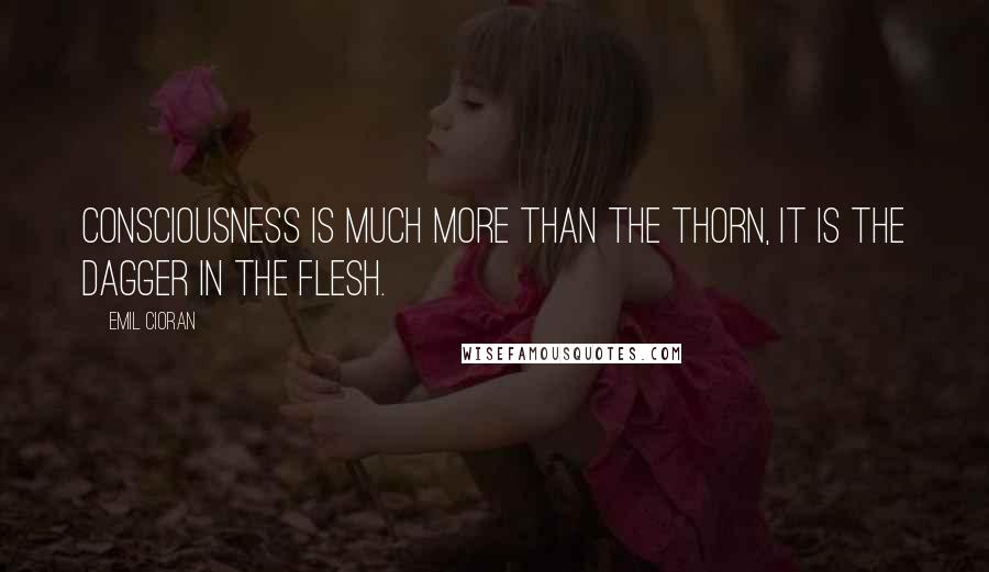 Emil Cioran Quotes: Consciousness is much more than the thorn, it is the dagger in the flesh.