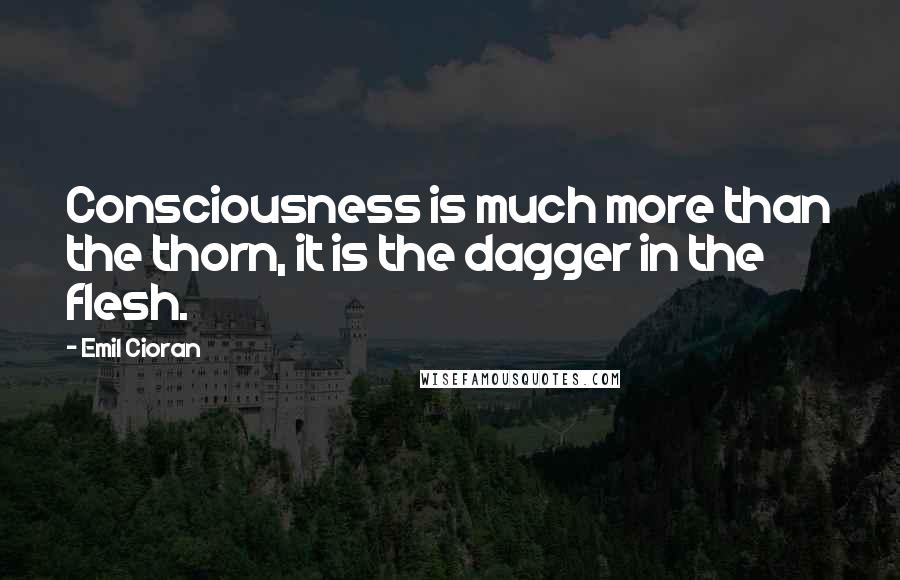 Emil Cioran Quotes: Consciousness is much more than the thorn, it is the dagger in the flesh.