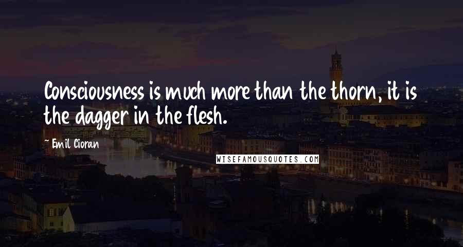 Emil Cioran Quotes: Consciousness is much more than the thorn, it is the dagger in the flesh.