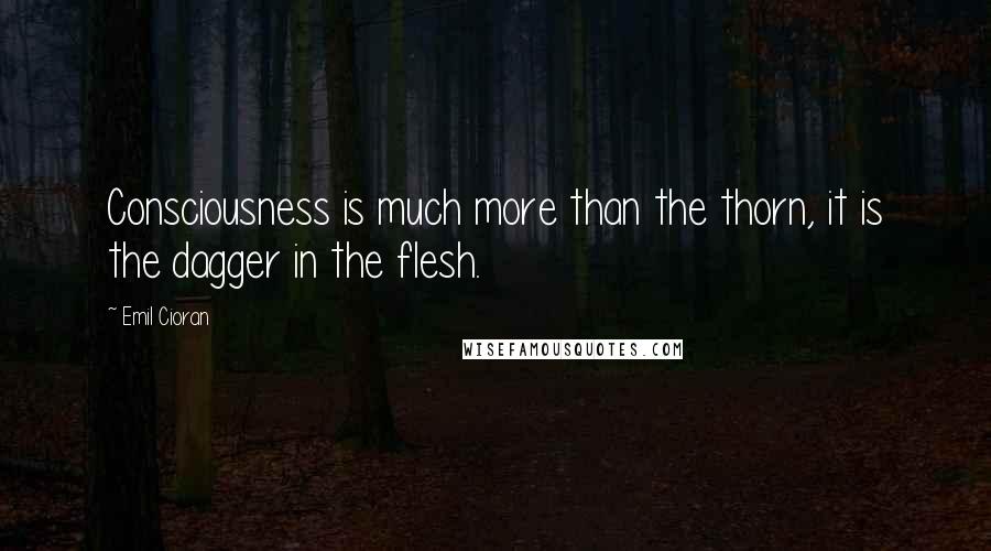 Emil Cioran Quotes: Consciousness is much more than the thorn, it is the dagger in the flesh.