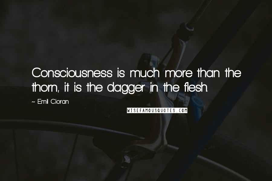 Emil Cioran Quotes: Consciousness is much more than the thorn, it is the dagger in the flesh.