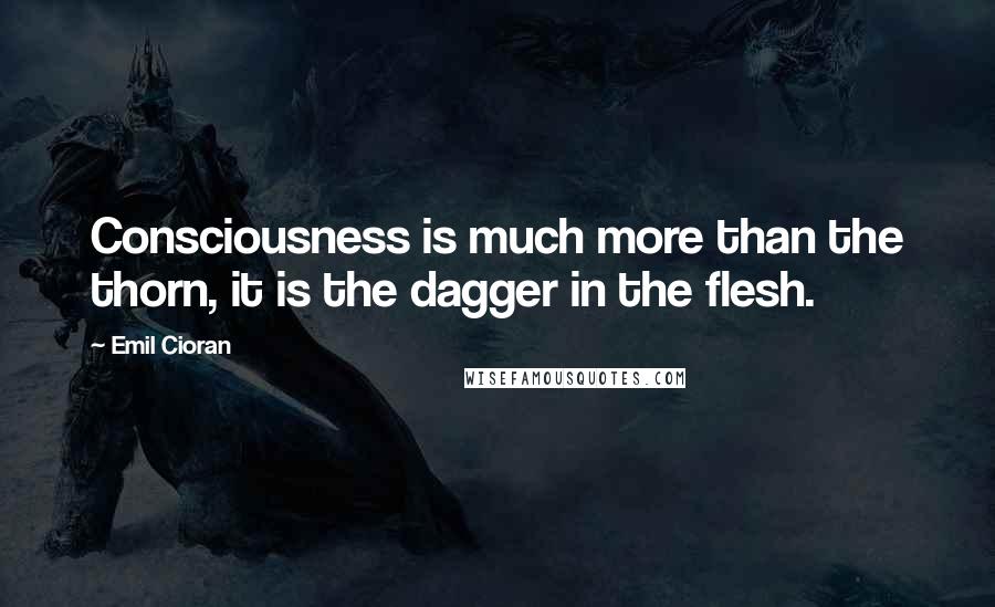 Emil Cioran Quotes: Consciousness is much more than the thorn, it is the dagger in the flesh.