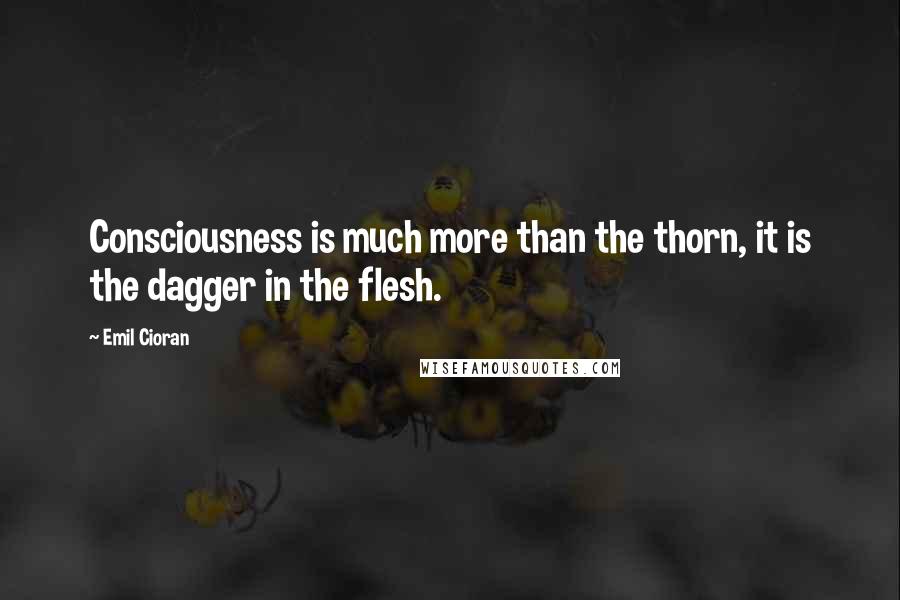 Emil Cioran Quotes: Consciousness is much more than the thorn, it is the dagger in the flesh.