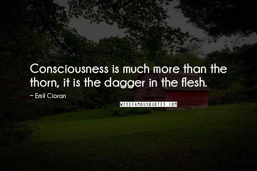 Emil Cioran Quotes: Consciousness is much more than the thorn, it is the dagger in the flesh.