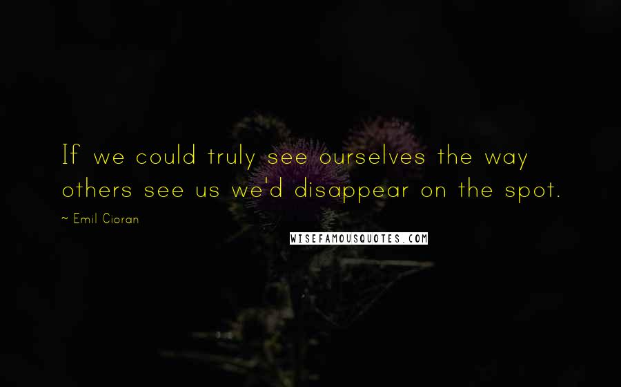 Emil Cioran Quotes: If we could truly see ourselves the way others see us we'd disappear on the spot.