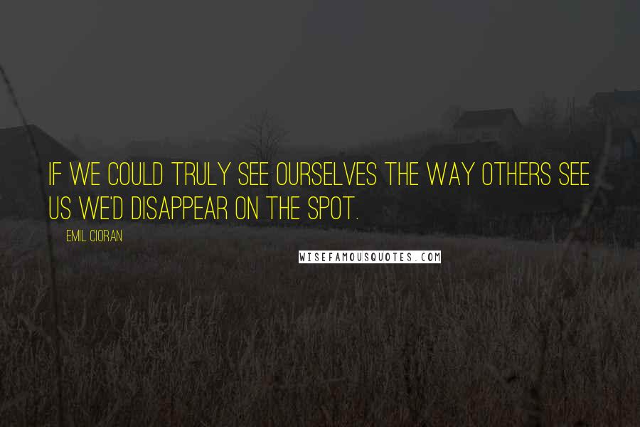 Emil Cioran Quotes: If we could truly see ourselves the way others see us we'd disappear on the spot.