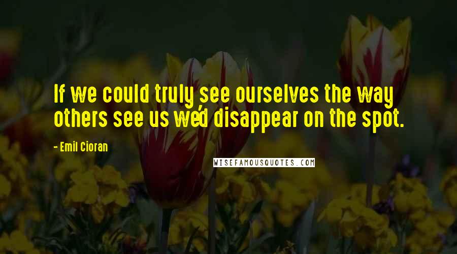 Emil Cioran Quotes: If we could truly see ourselves the way others see us we'd disappear on the spot.