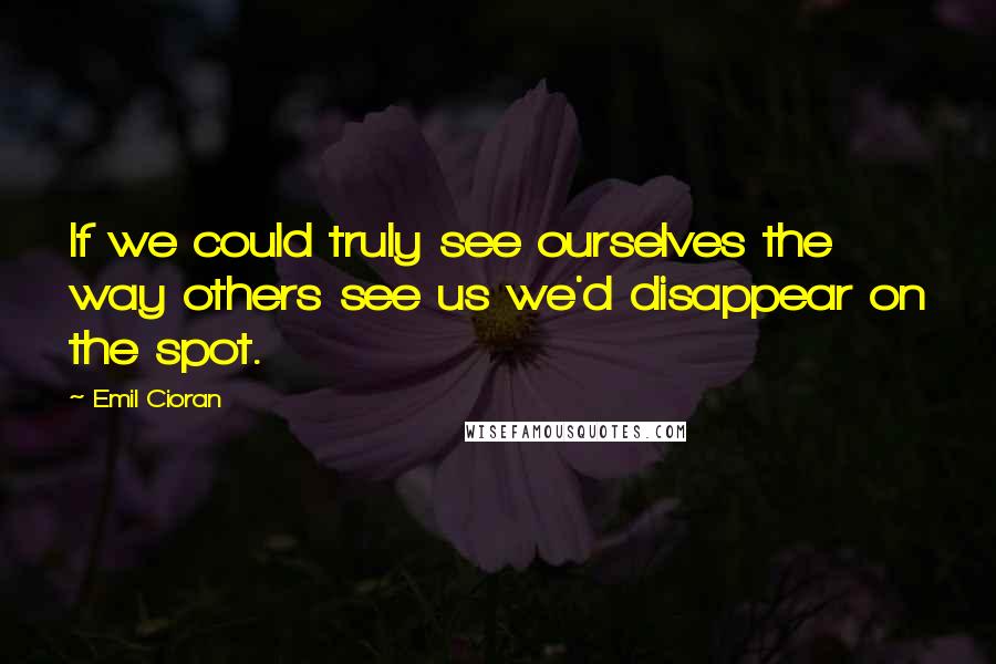 Emil Cioran Quotes: If we could truly see ourselves the way others see us we'd disappear on the spot.