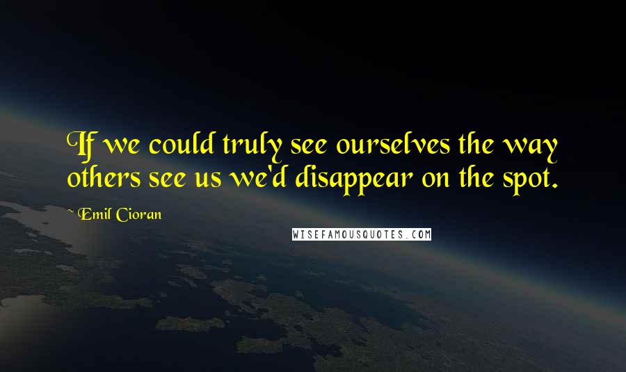 Emil Cioran Quotes: If we could truly see ourselves the way others see us we'd disappear on the spot.