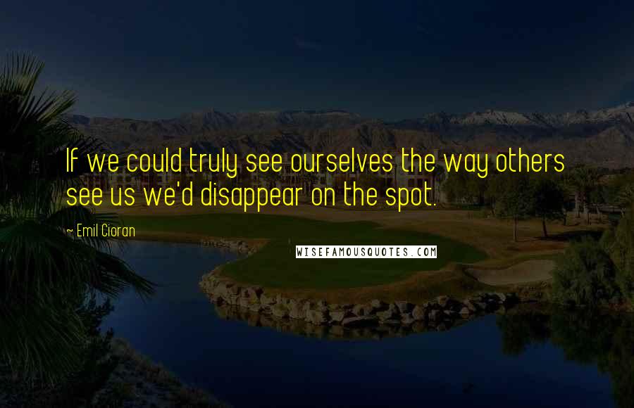 Emil Cioran Quotes: If we could truly see ourselves the way others see us we'd disappear on the spot.