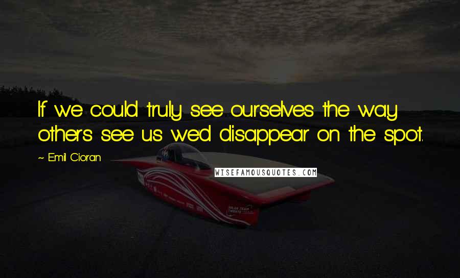 Emil Cioran Quotes: If we could truly see ourselves the way others see us we'd disappear on the spot.