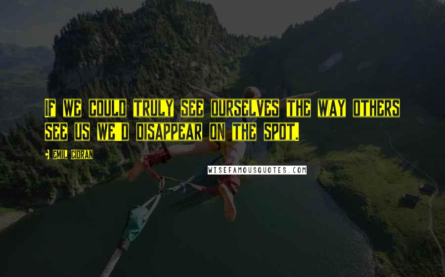 Emil Cioran Quotes: If we could truly see ourselves the way others see us we'd disappear on the spot.