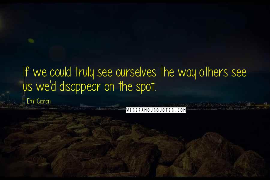 Emil Cioran Quotes: If we could truly see ourselves the way others see us we'd disappear on the spot.