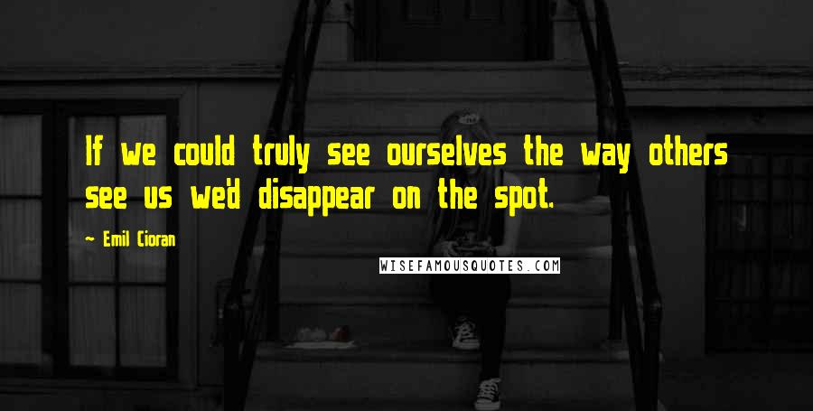 Emil Cioran Quotes: If we could truly see ourselves the way others see us we'd disappear on the spot.