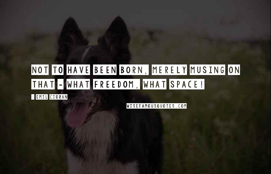 Emil Cioran Quotes: Not to have been born, merely musing on that - what freedom, what space!