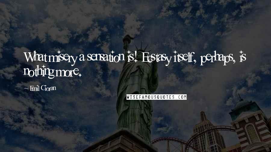 Emil Cioran Quotes: What misery a sensation is! Ecstasy itself, perhaps, is nothing more.