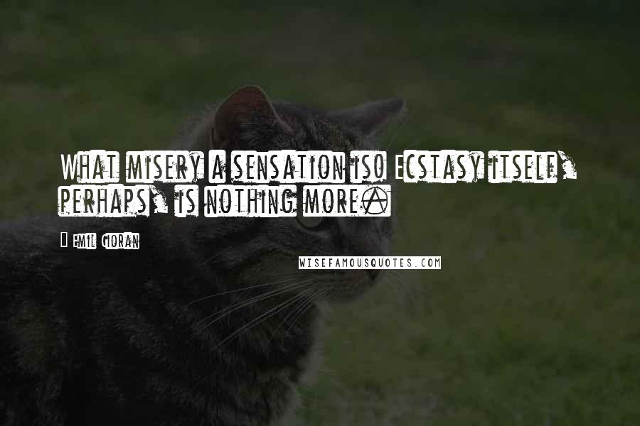 Emil Cioran Quotes: What misery a sensation is! Ecstasy itself, perhaps, is nothing more.