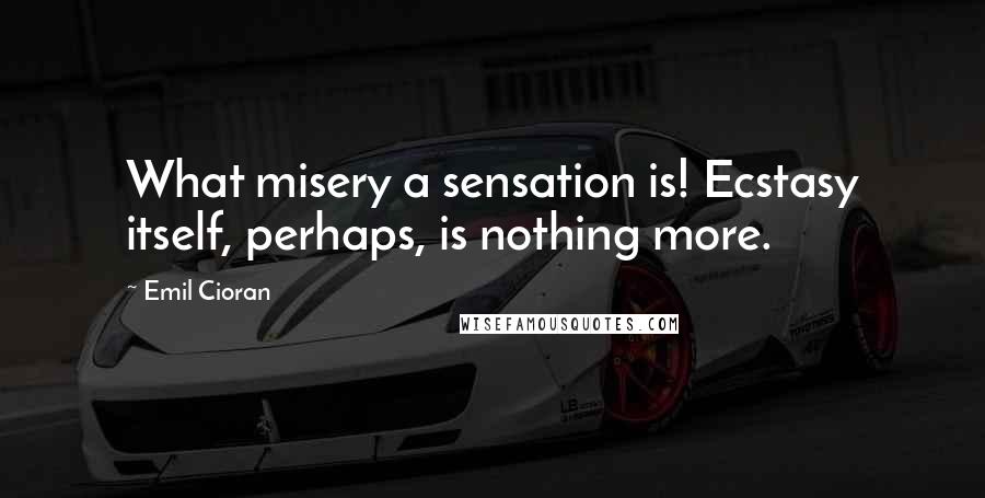 Emil Cioran Quotes: What misery a sensation is! Ecstasy itself, perhaps, is nothing more.