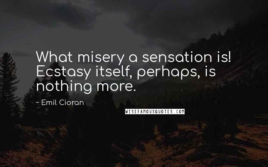 Emil Cioran Quotes: What misery a sensation is! Ecstasy itself, perhaps, is nothing more.