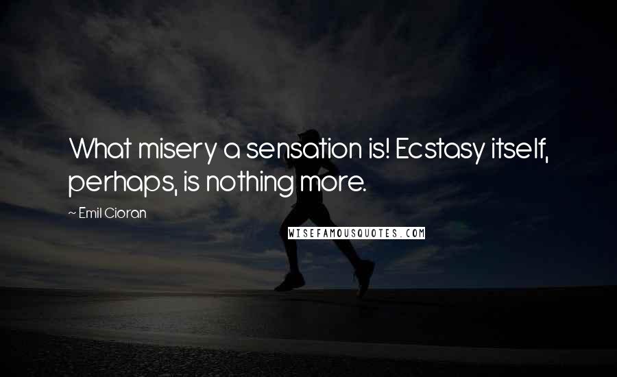 Emil Cioran Quotes: What misery a sensation is! Ecstasy itself, perhaps, is nothing more.