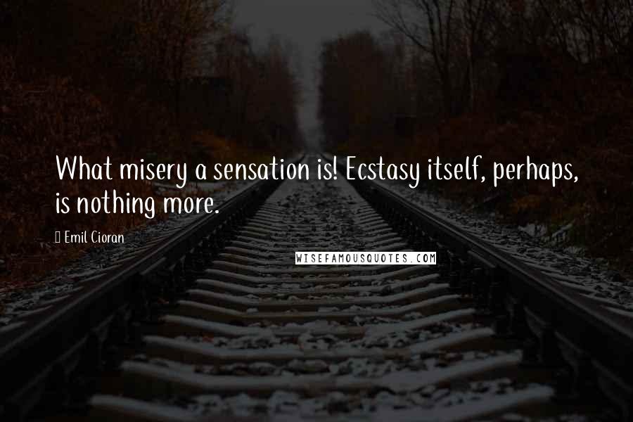 Emil Cioran Quotes: What misery a sensation is! Ecstasy itself, perhaps, is nothing more.