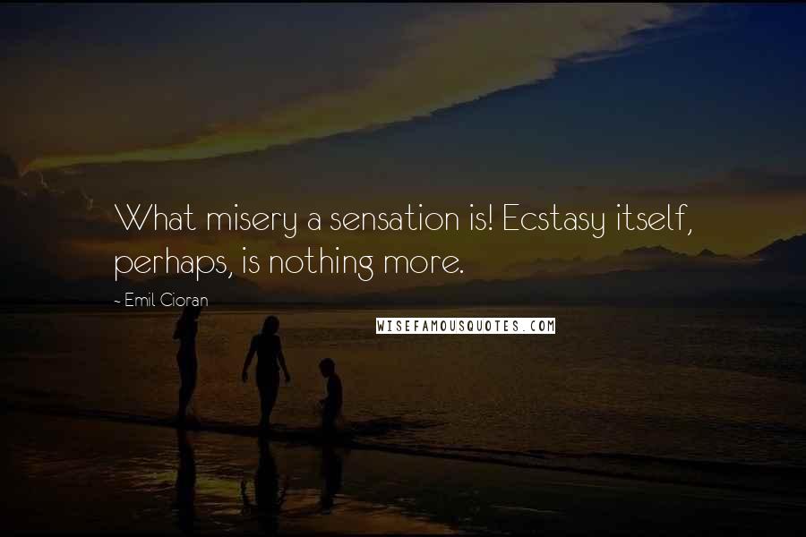 Emil Cioran Quotes: What misery a sensation is! Ecstasy itself, perhaps, is nothing more.