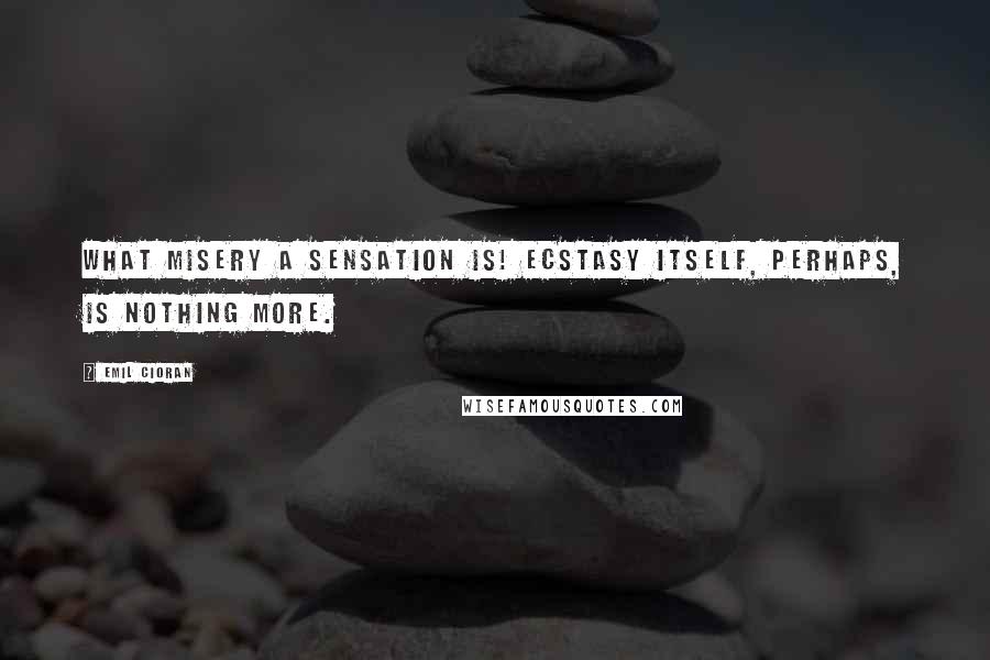 Emil Cioran Quotes: What misery a sensation is! Ecstasy itself, perhaps, is nothing more.